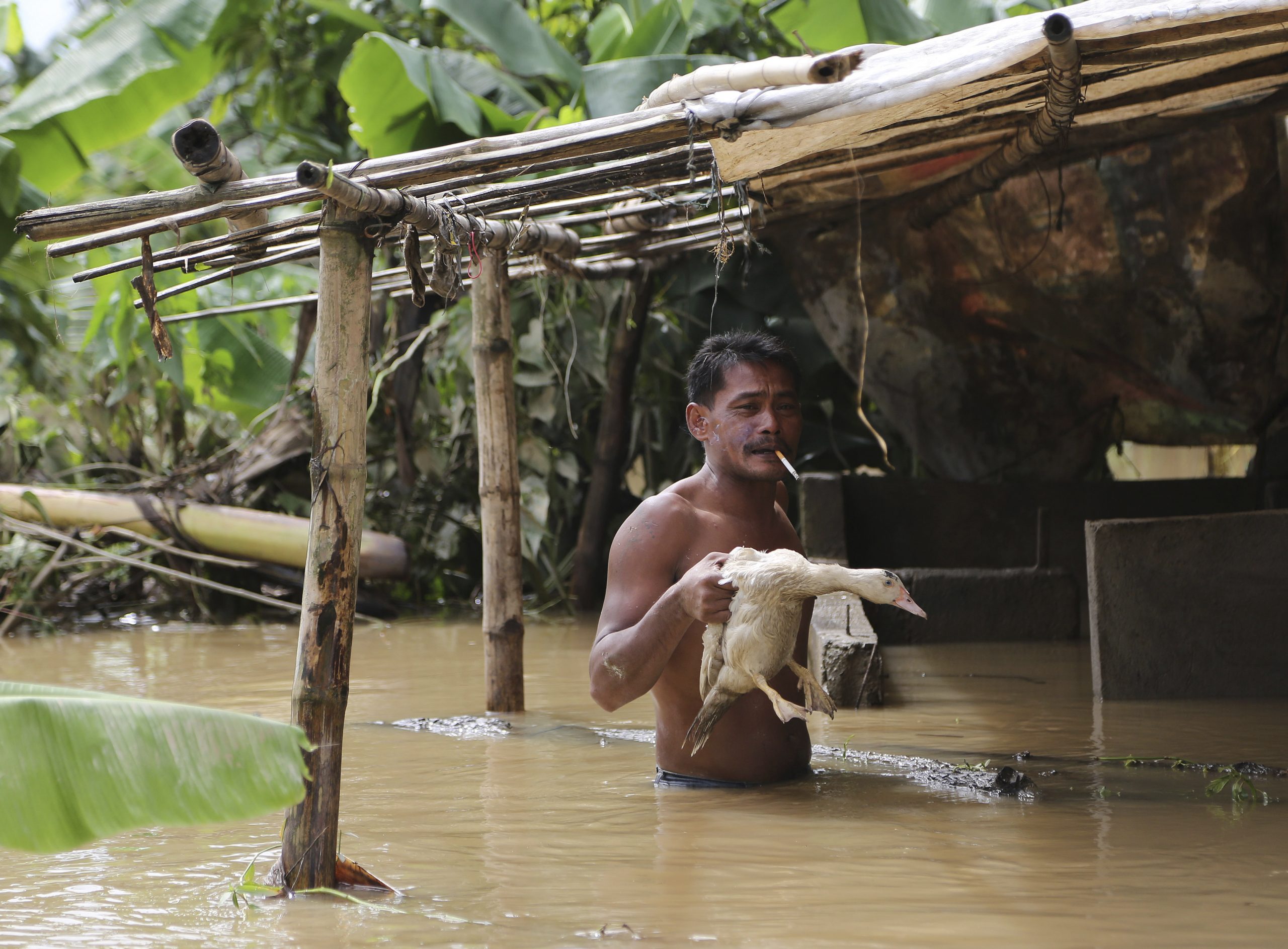 Typhoon hits southern China, heads to Vietnam