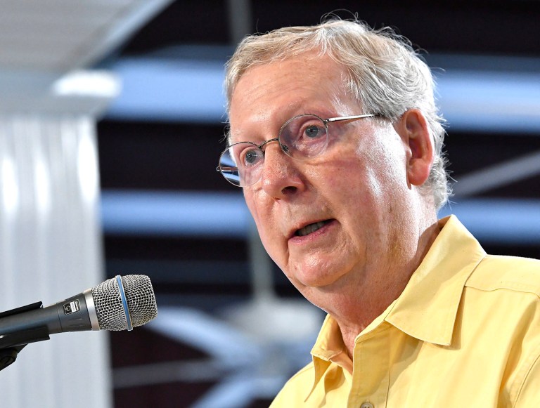 Senate Majority Leader Mitch McConnell told a Kentucky crowd that 