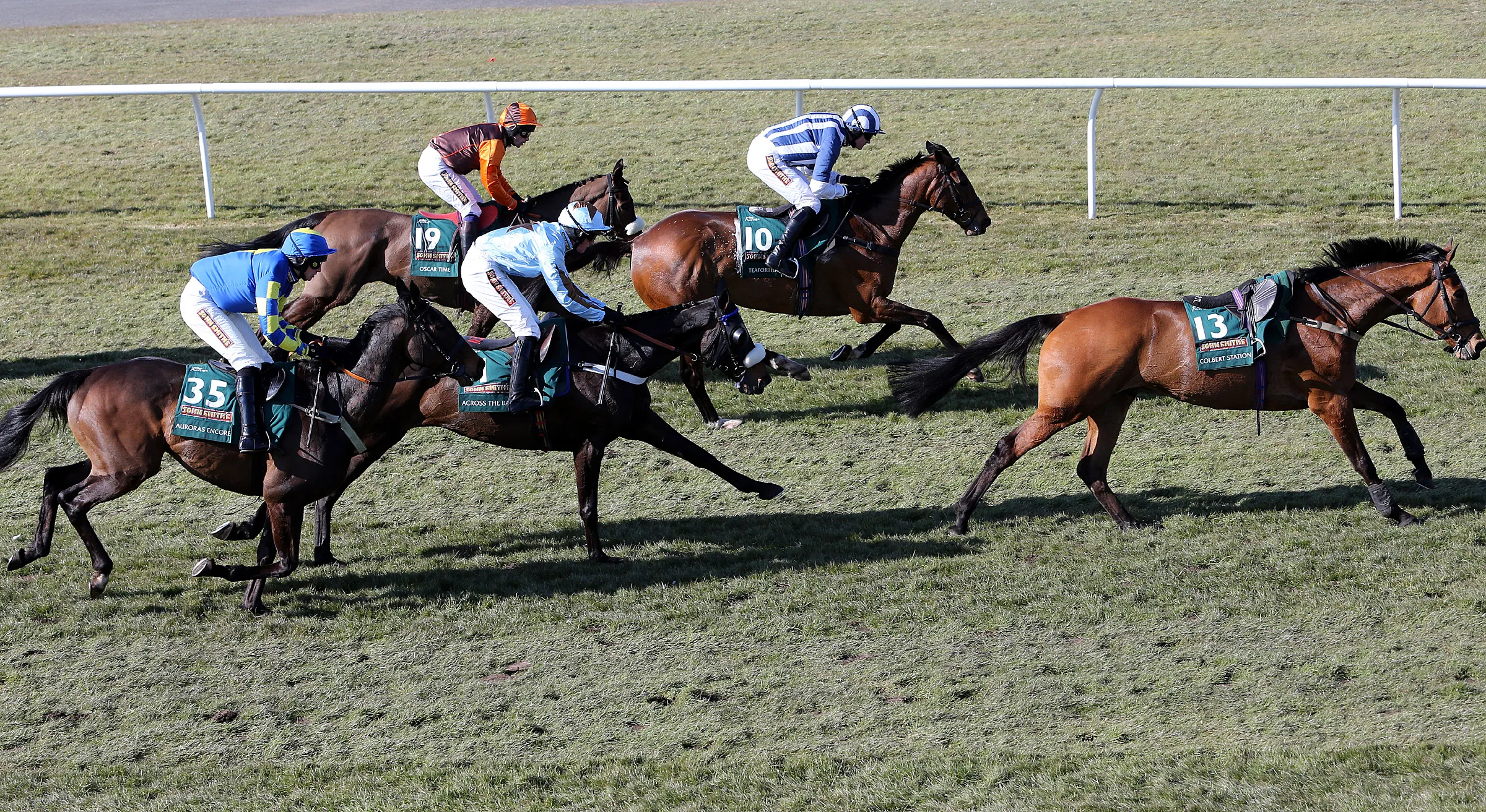 New York gave education money to scandal-plagued horseracing group