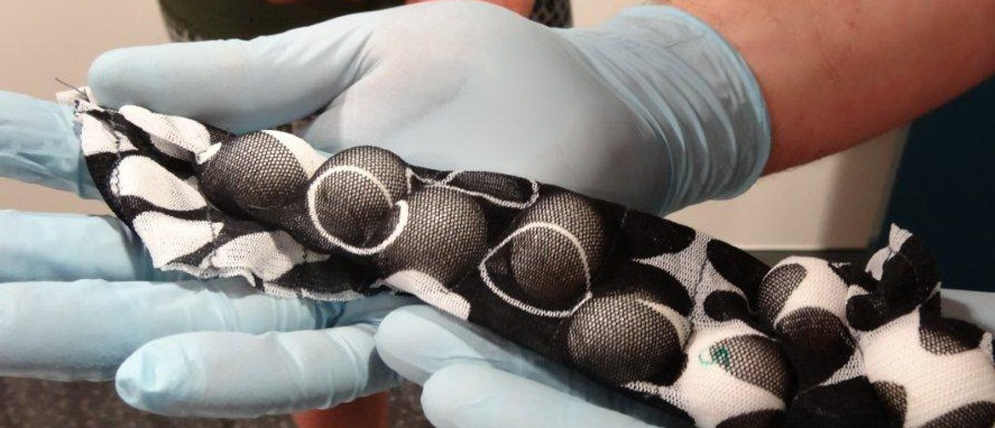 Australia alleges smuggler had bird eggs in pants