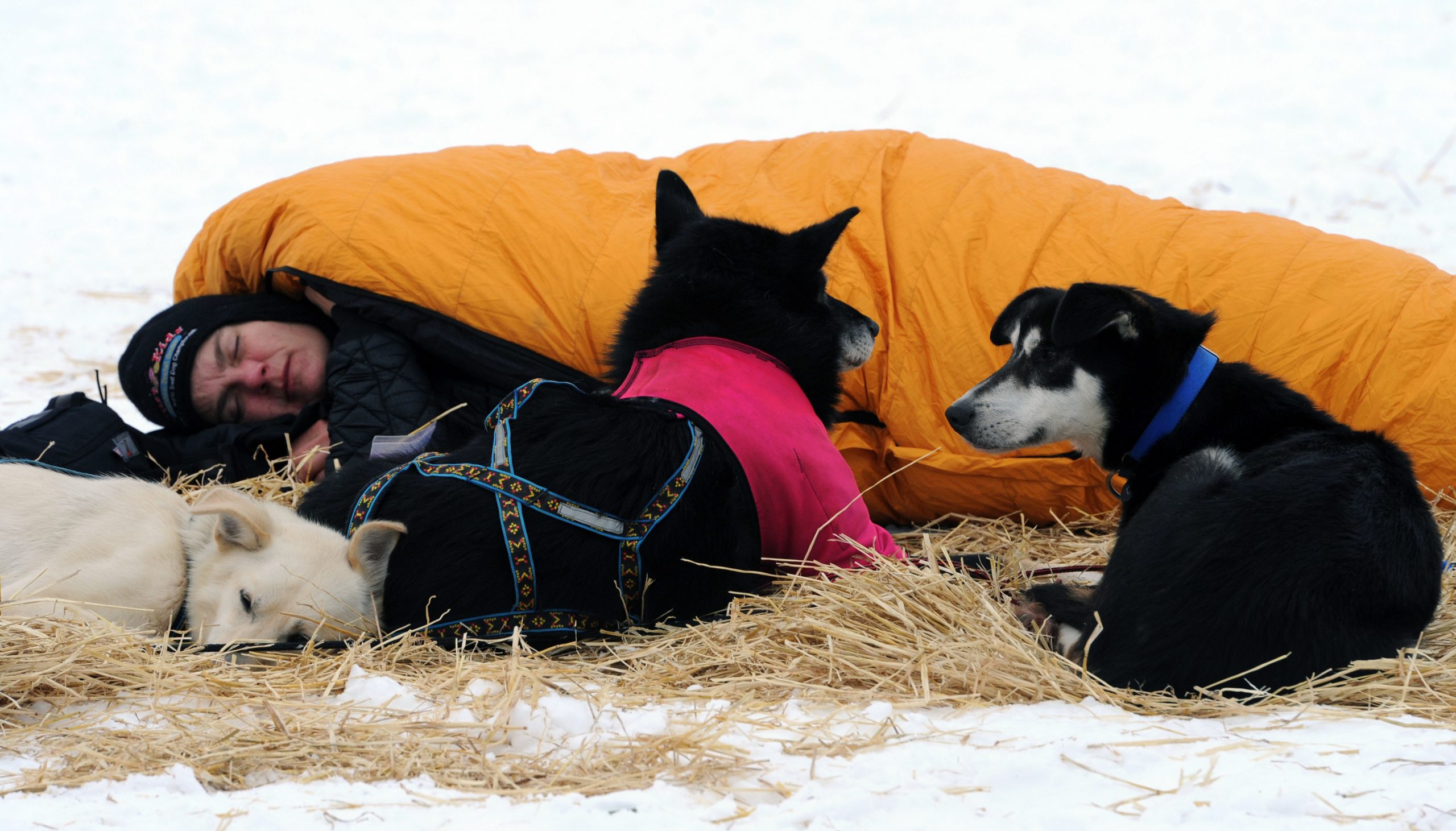 Mushers welcome rest at Alaska wilderness villages