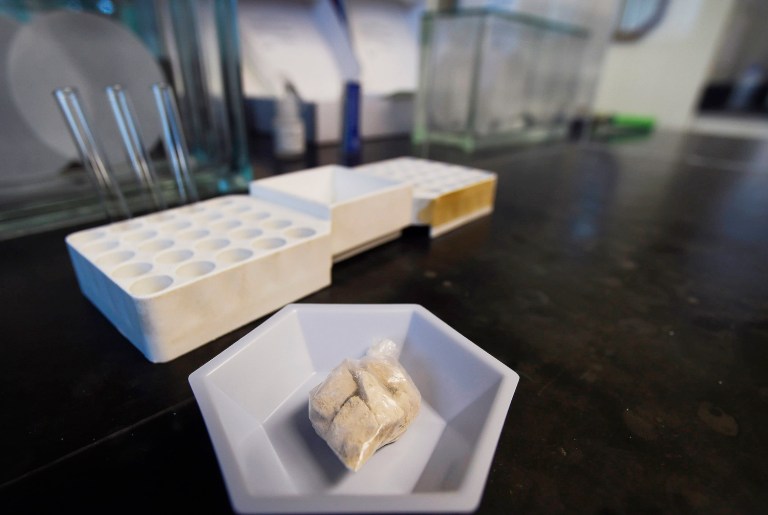 Five companies are named in the lawsuit, which says drugmakers engaged in fraudulent marketing and downplayed the addictive effects of prescription painkillers. (AP Photo/Mike Stewart)