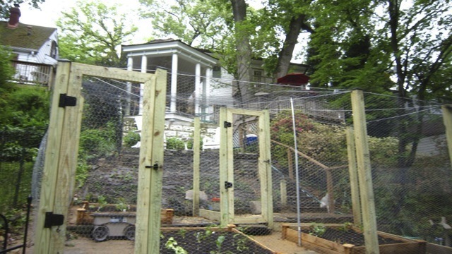 Veggie gardens can have style, substance