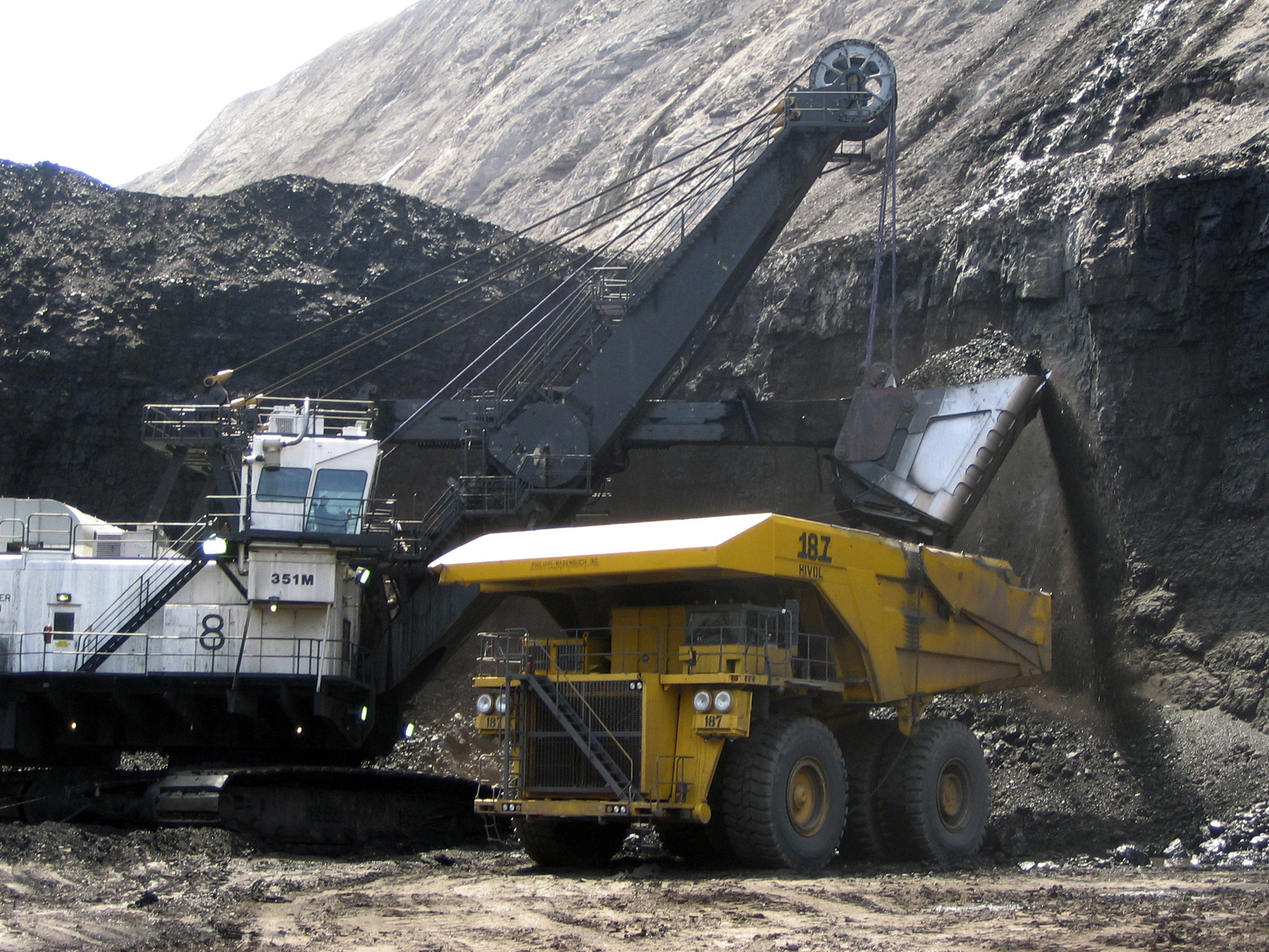 Coal giant files for bankruptcy