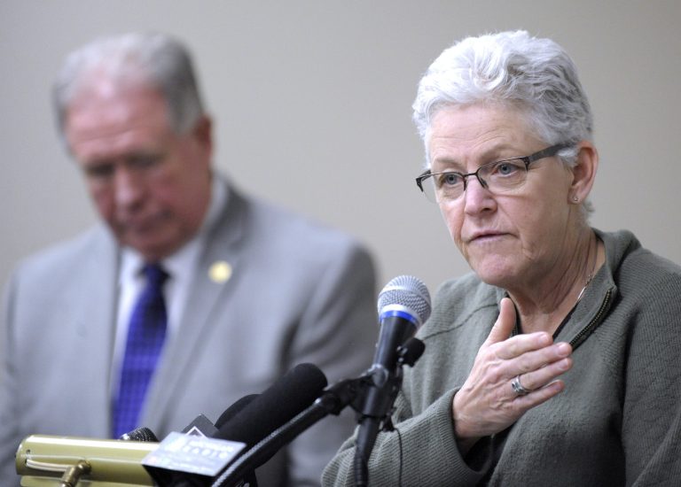 A group of 20 states asked the court last month to halt the standards. (Todd McInturf/Detroit News via AP)