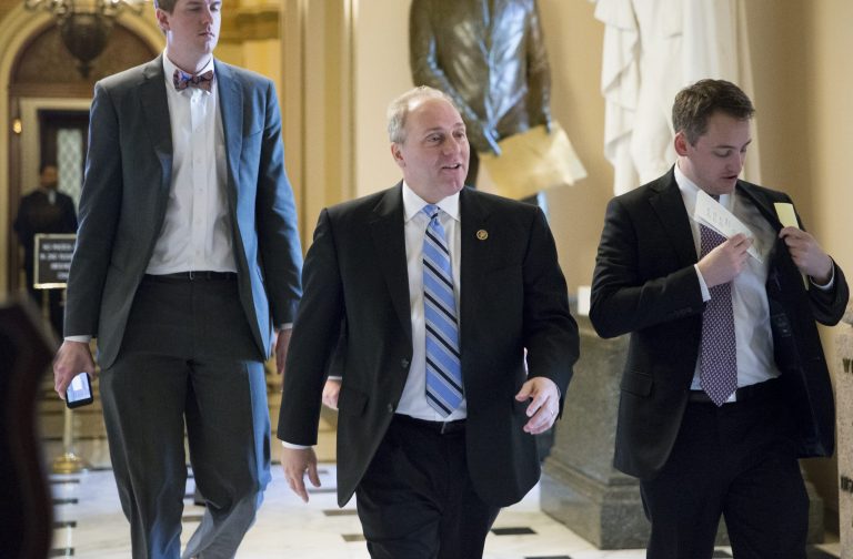 House Majority Whip Steve Scalise, R-La., said more than half of all House-passed bills never came up in the Senate last year. (AP Photo/J. Scott Applewhite)