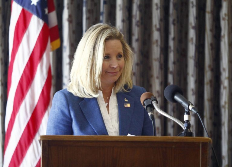 Liz Cheney, the elder daughter of former Vice President Dick Cheney, announced on Tuesday her GOP primary challenge to Wyoming's senior U.S. incumbent Sen. Mike Enzi. (AP/Matt Young)