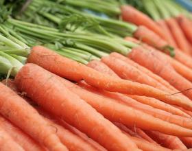 HCR Countdown: Discipline and Punish