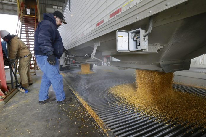 Corn is delivered to an ethanol plant in Shenandoah, Iowa. (AP Photo/Nati Harnik)