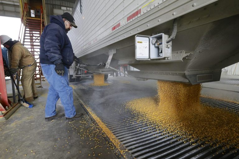 Corn is delivered to an ethanol plant in Shenandoah, Iowa. (AP Photo/Nati Harnik)