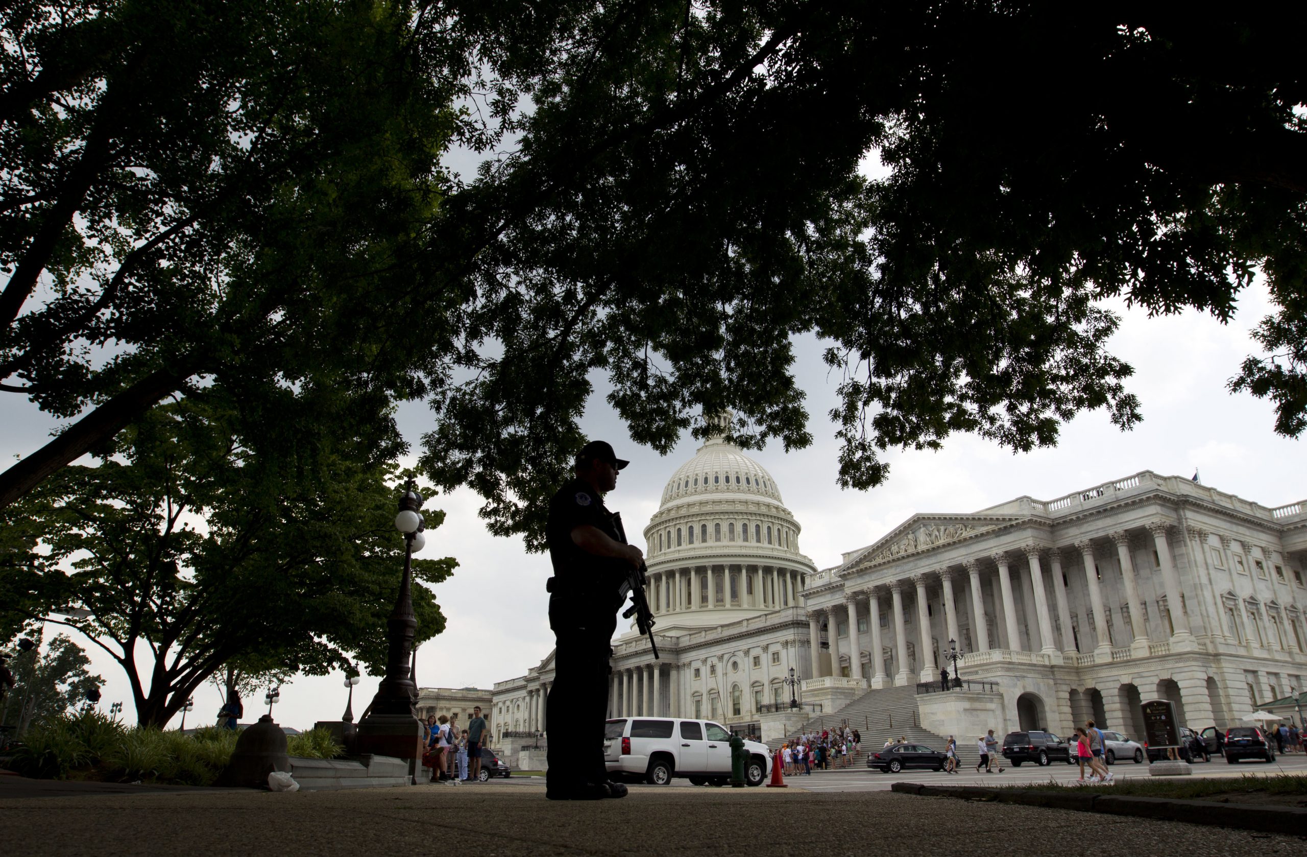 The violent political Left