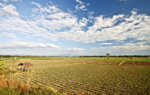 Ethanol supporters are unhappy about the recent AP report suggesting their favorite fuel hurts the environment, and theyÃ¢â¬â¢re out in full force to protect the federal mandate that keeps them in business. (Photo: Thinkstock)