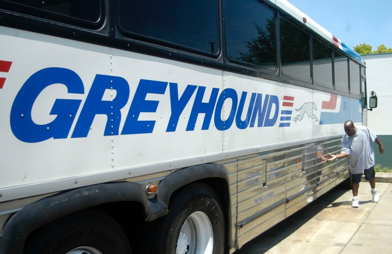 Greyhound bus accident leaves more than a dozen injured: Police