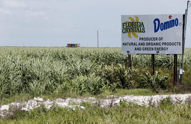 Republicans can either reform the sugar program, or confirm that liberals are right about them