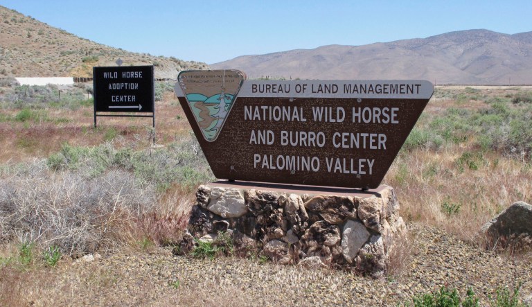 The entrance to the U.S. Bureau of Land Management's Wild Horse and Burro Center in Palomino Valley about 20 miles north of Reno, Nevada, is pictured.