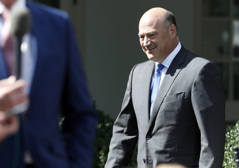 In this 2017 photo, then-Director of the National Economic Council Gary Cohn appears at an event in the Rose Garden of the White House.