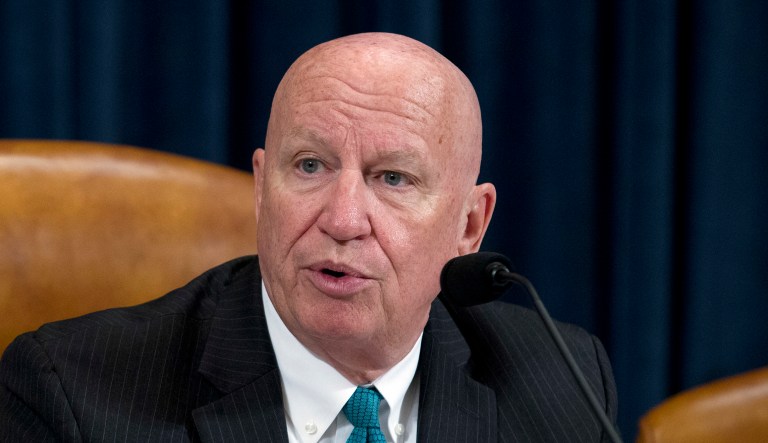 House Ways and Means Committee Chairman Rep. Kevin Brady, R-Texas, speaks during a committee hearing.