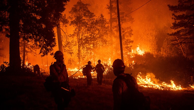 Firefighters monitor a backfire while battling the Delta Fire in the Shasta-Trinity National Forest, Calif.