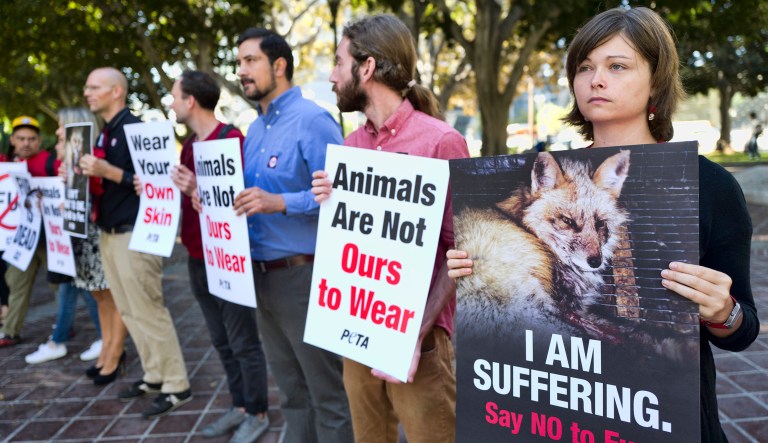 Emily Rohr, right, joins fur ban protesters with the People for the Ethical Treatment of Animals (PETA) prior to a news conference at Los Angeles City on Tuesday, Sept. 18, 2018. Los Angeles would become the largest city in the U.S. to ban the sale of fur products if the City Council approves a proposed law backed by animal activists who say the multibillion-dollar fur industry is rife with cruelty.