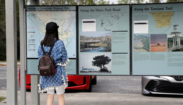 A visitor reads information outside of the Ernest F. Coe Visitor Center in Everglades National Park, Friday, Jan. 4, 2019, in Homestead, Fla. As the partial government shutdown drags on, private organizations, local businesses, volunteers and state governments are putting up the money and manpower to keep national parks across the U.S. open, safe and clean for visitors.