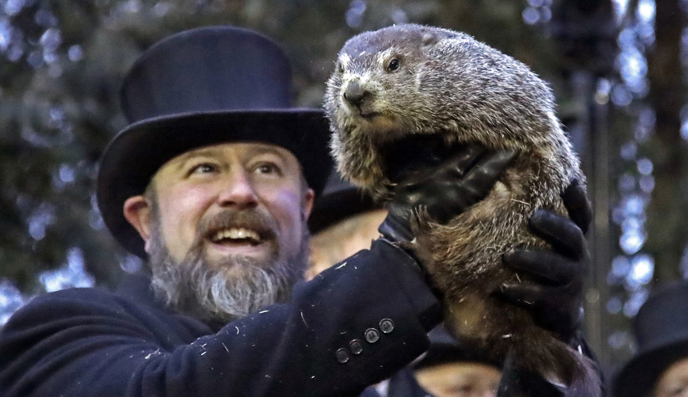 Groundhog Club co-handler John Griffiths co-handler Al Dereume holds Punxsutawney Phil, the weather prognosticating groundhog, during the 133rd celebration of Groundhog Day on Gobbler's Knob in Punxsutawney, Pa., on Saturday.