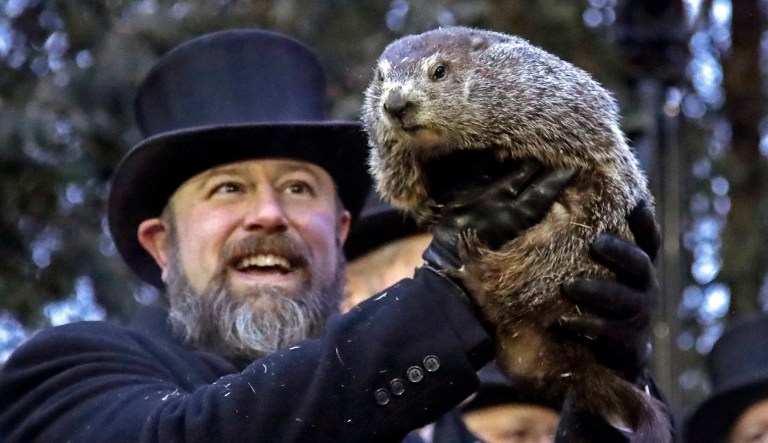 Groundhog Club co-handler Al Dereume holds Punxsutawney Phil, the weather prognosticating groundhog.