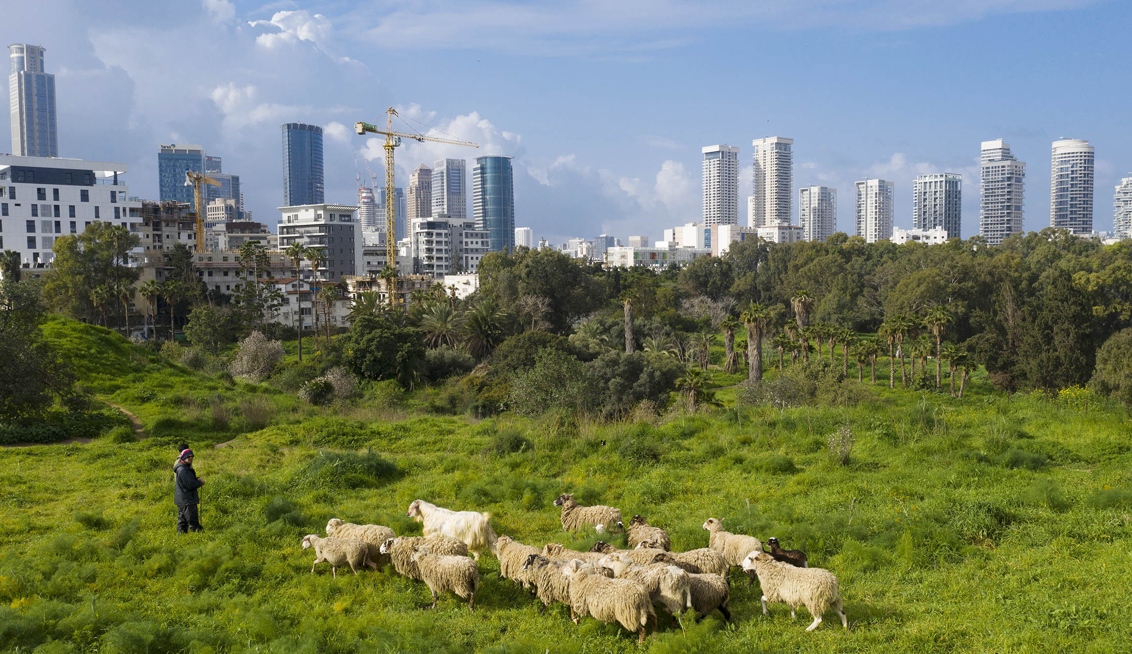 Sirens in Tel Aviv after rockets fired from Gaza into Israel