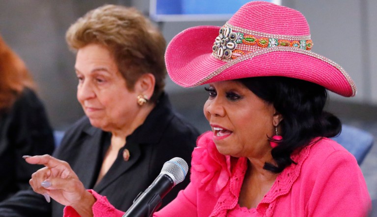 Rep. Frederica Wilson, D-Fla., gestures as she speaks during a round table discussion.