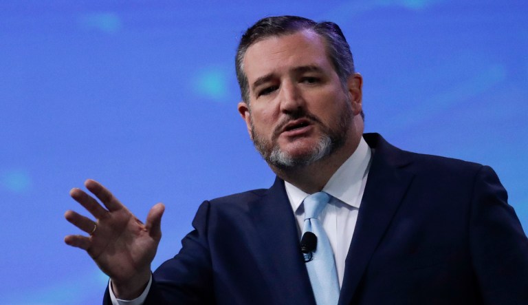 Sen. Ted Cruz is seen.