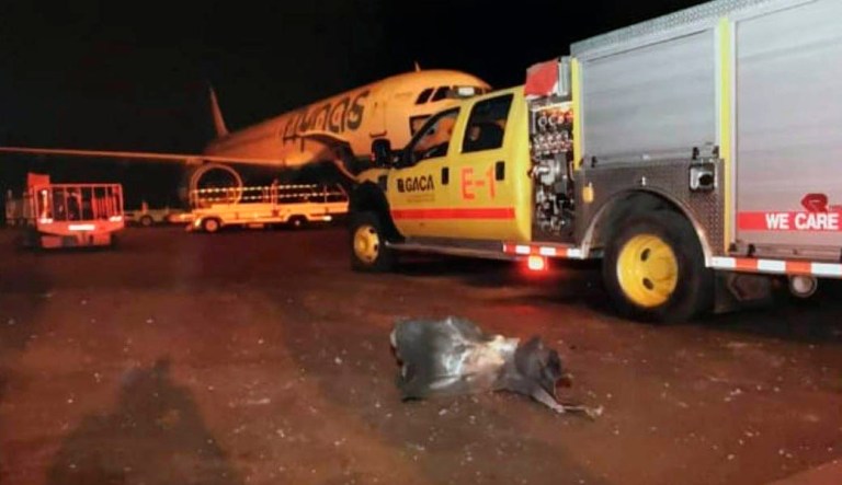 This photograph released by the state-run Saudi Press Agency shows debris on the tarmac of Abha Regional Airport after an attack by Yemen's Houthi rebels in Abha, Saudi Arabia, Wednesday, June 12, 2019. Yemen's Iranian-backed Houthi rebels said they attacked the airport with a cruise missile. Saudi officials said the attack wounded more than 20 people.