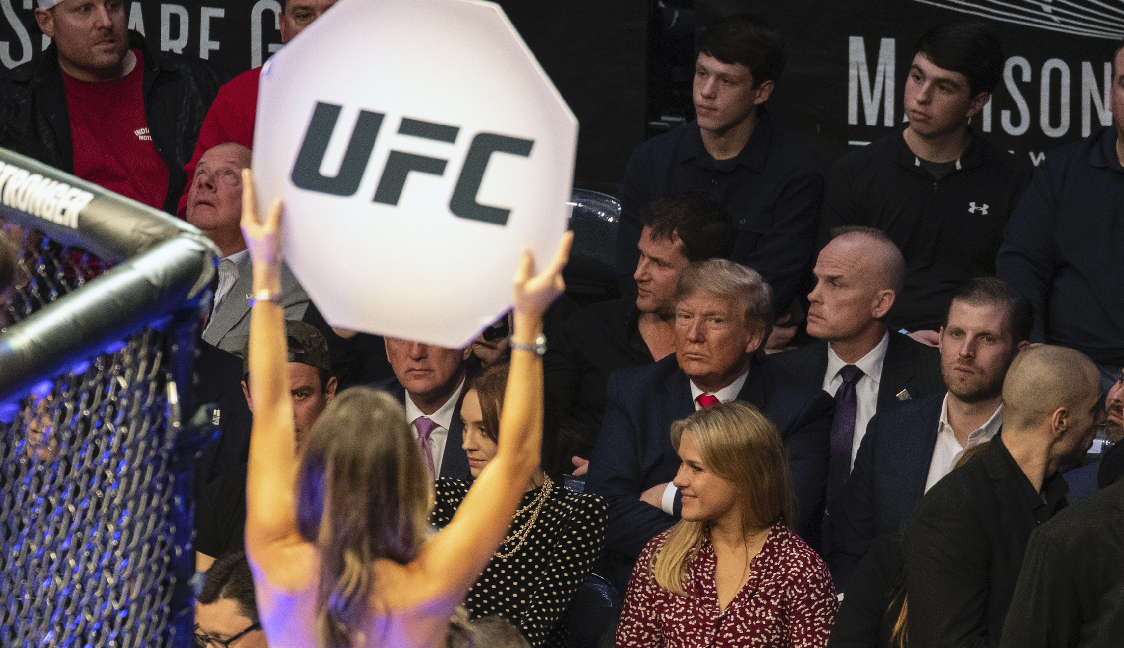 ‘Antifa will not be going after Bryce’: Trump praises UFC fighter who threatened to beat up his critics