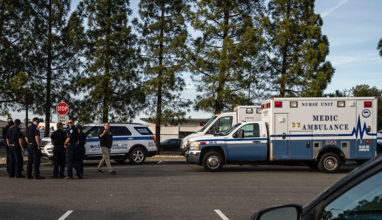 More than a dozen Americans with coronavirus land in US after cruise ship evacuated