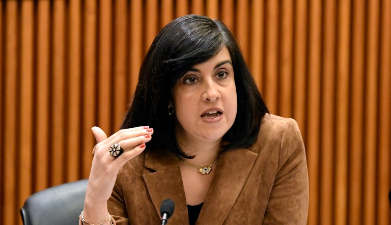 New York House Republican bashes omnibus bill, ‘does not reflect the priorities of the American people’