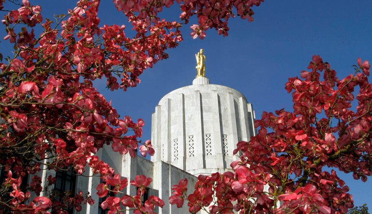 Oregon House endorses several policing reform bills