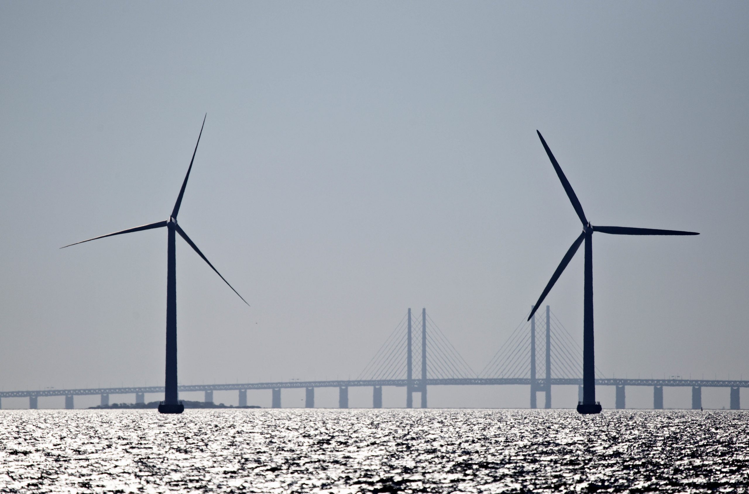 As Illinois aims to add more wind farms, concerns raised about wildlife