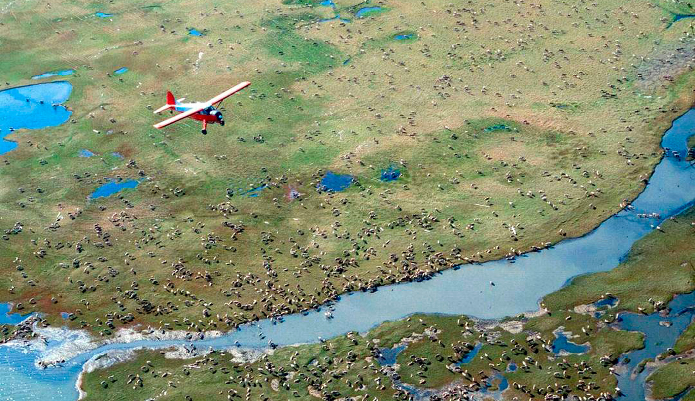 The problem with Trump’s plan to drill in Arctic refuge