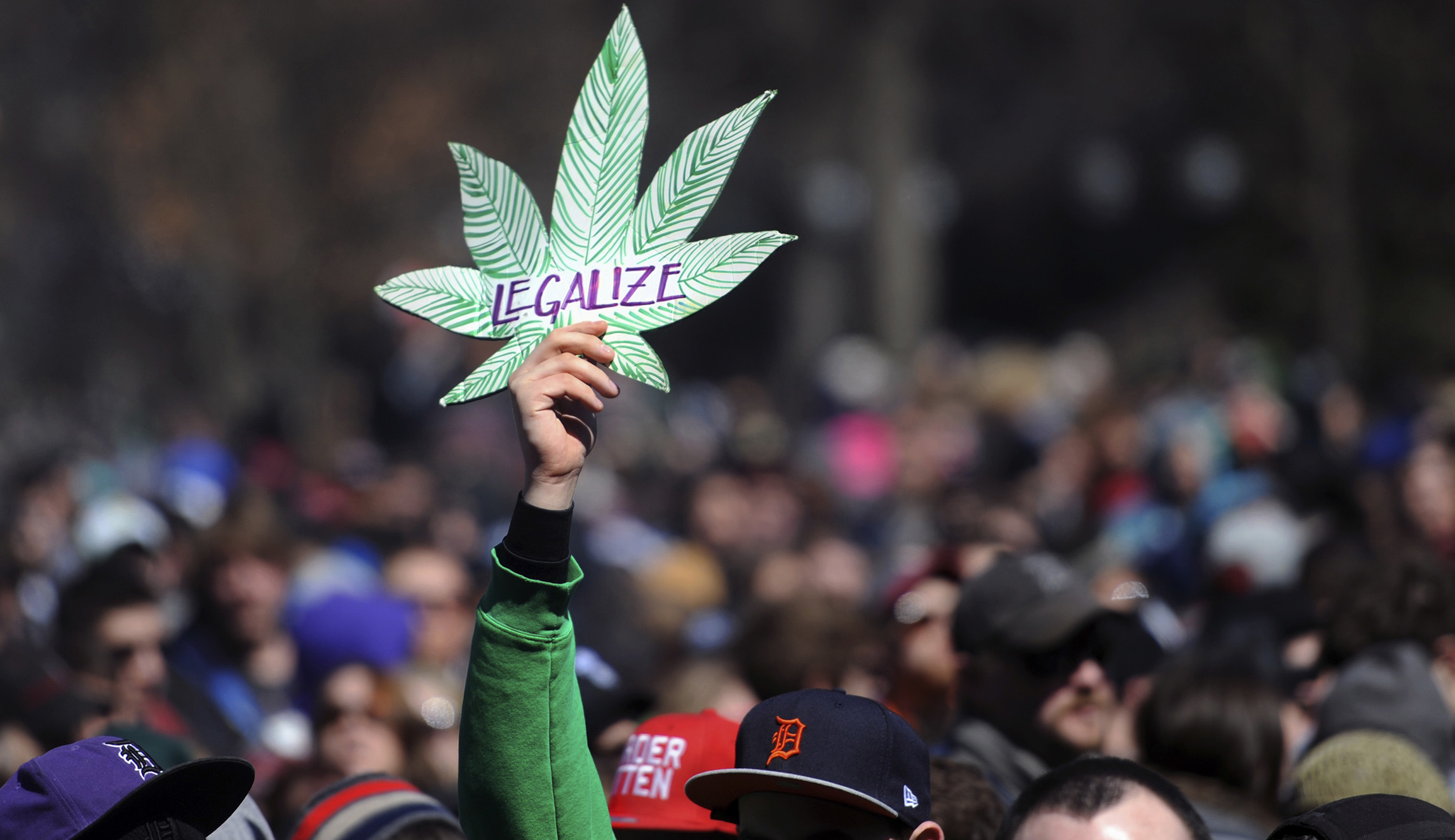 Trump can ‘probably’ support marijuana bill giving states control