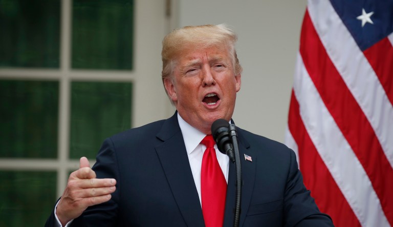 President Trump speaks in the Rose Garden of the White House.