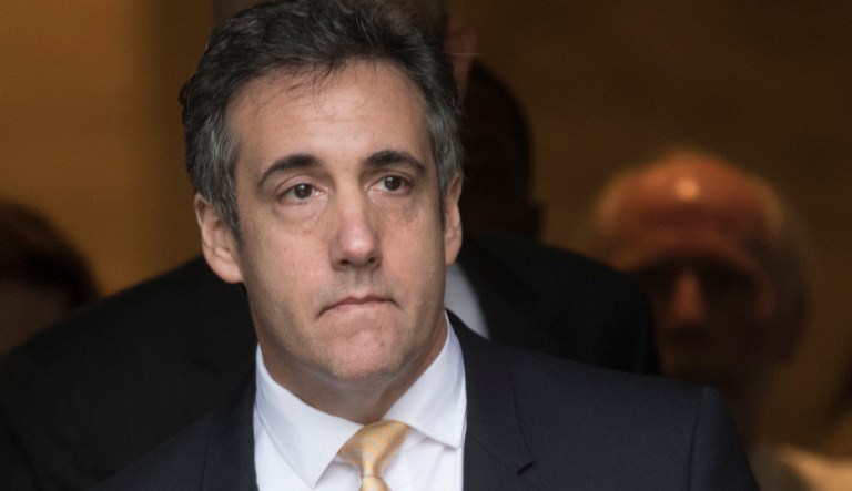 Michael Cohen has pleaded guilty to charges including campaign finance fraud stemming from hush money payments to porn actress Stormy Daniels and ex-Playboy model Karen McDougal. 