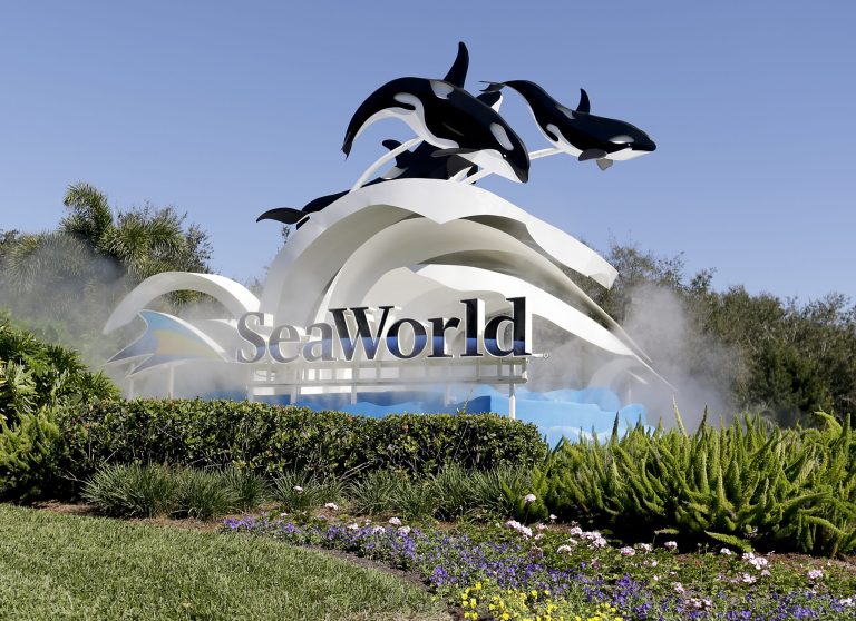 SeaWorld Parks & Entertainment offering military members and veterans free admission