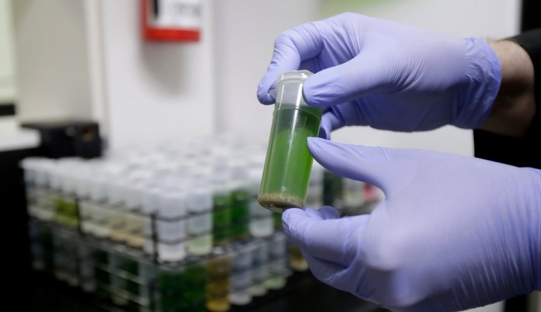 New Colorado data serve as warning of risks of ultrapotent marijuana to children