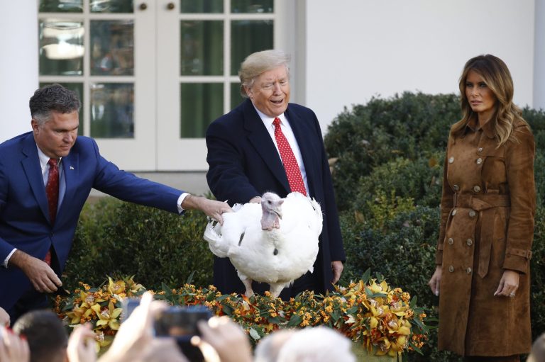 President Donald Trump pardons Butter, the national Thanksgiving turkey, as first lady Melania Trump watches in the Rose Garden of the White House, Tuesday, Nov. 26, 2019. Butter and his backup Bread are still alive.