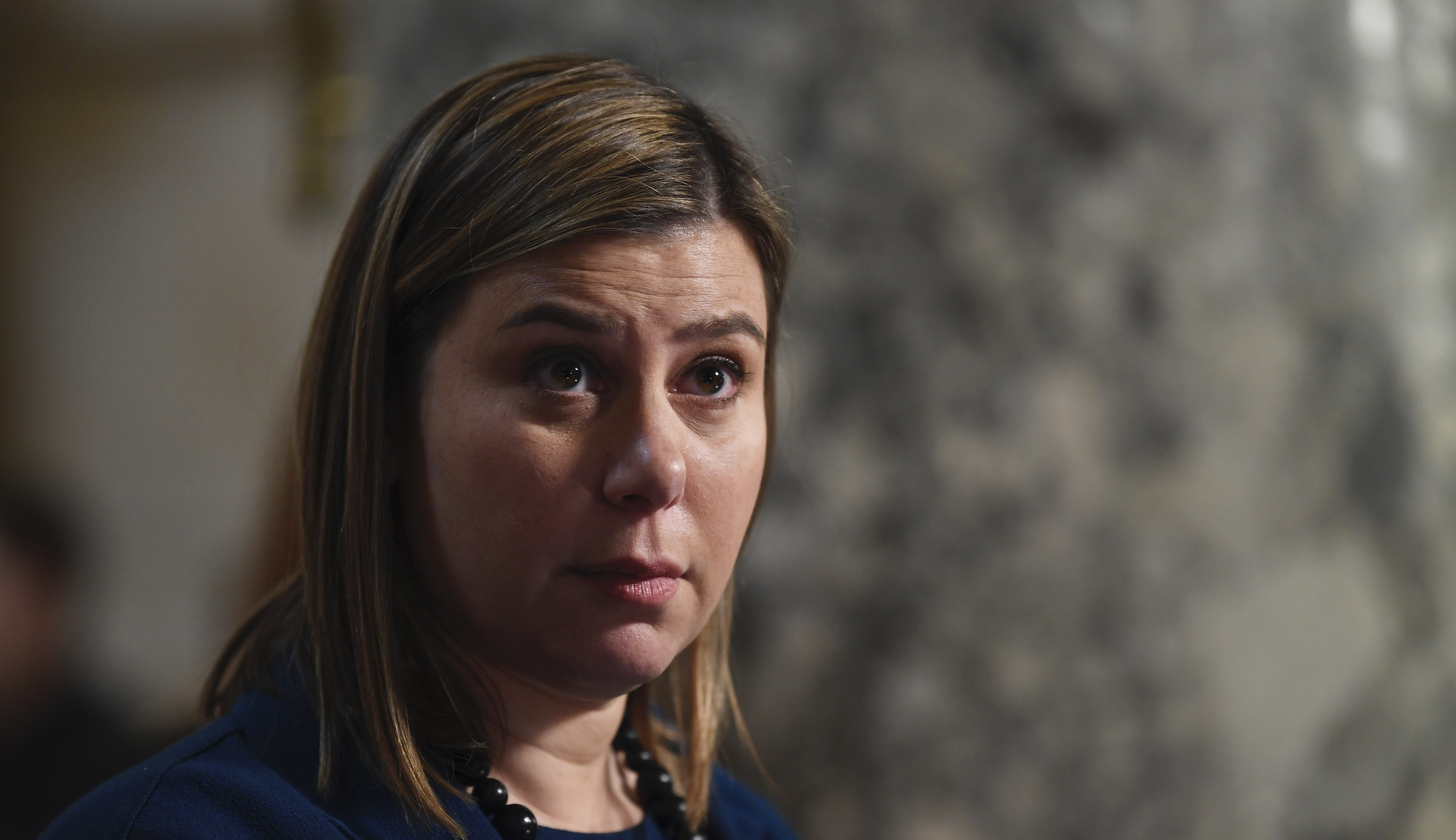 ‘Should be rewarded’: Michigan Democrat defends governor’s controversial coronavirus orders