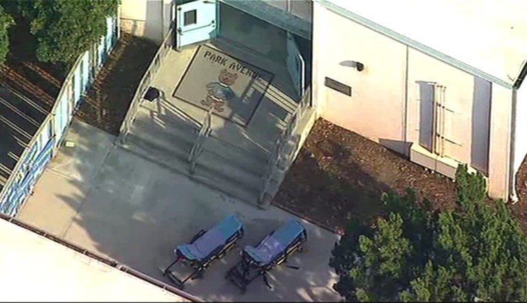 Several young children injured after airplane dumps fuel above elementary playground