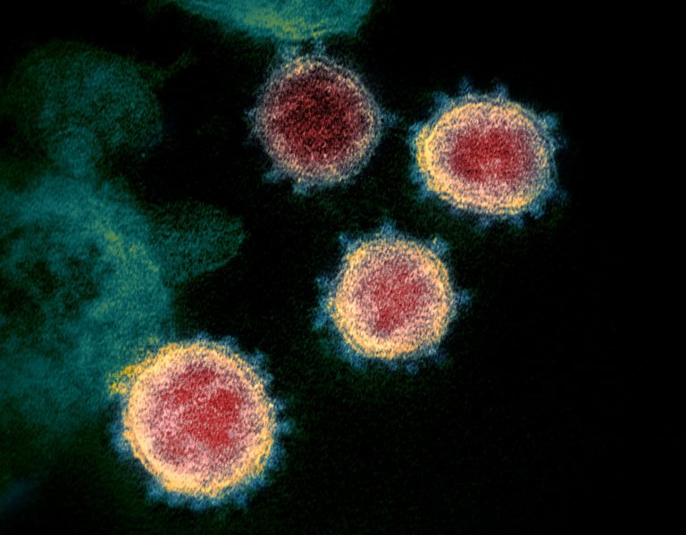 US flying blind with coronavirus variants