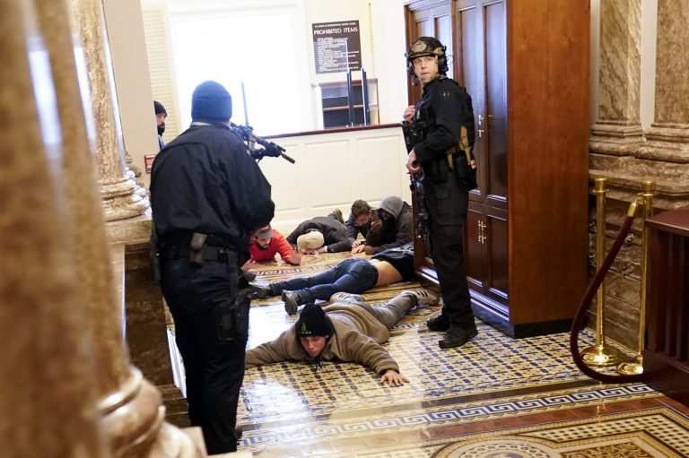Stop trying to make the Capitol riot into a race issue