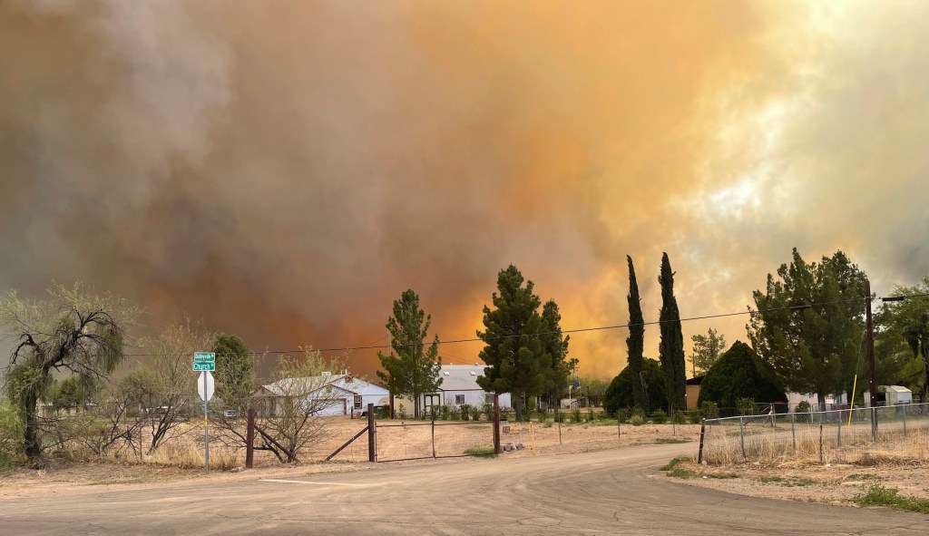 How to prevent wildfires without more government interference