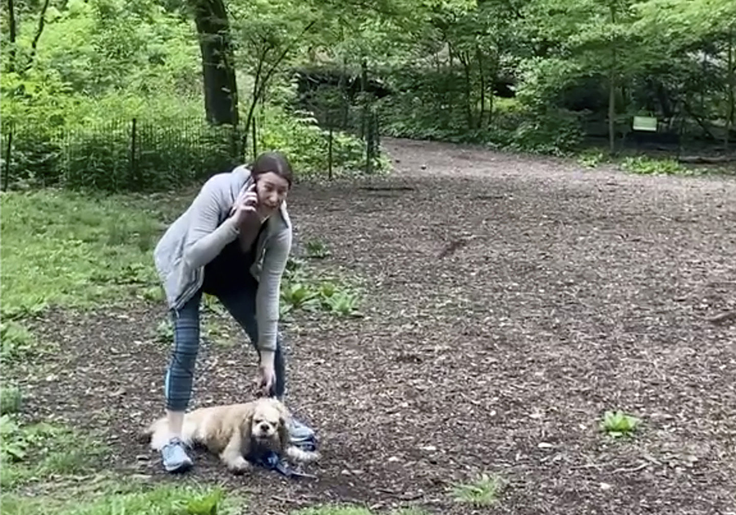 Woman sues former employer for firing her after viral Central Park confrontation