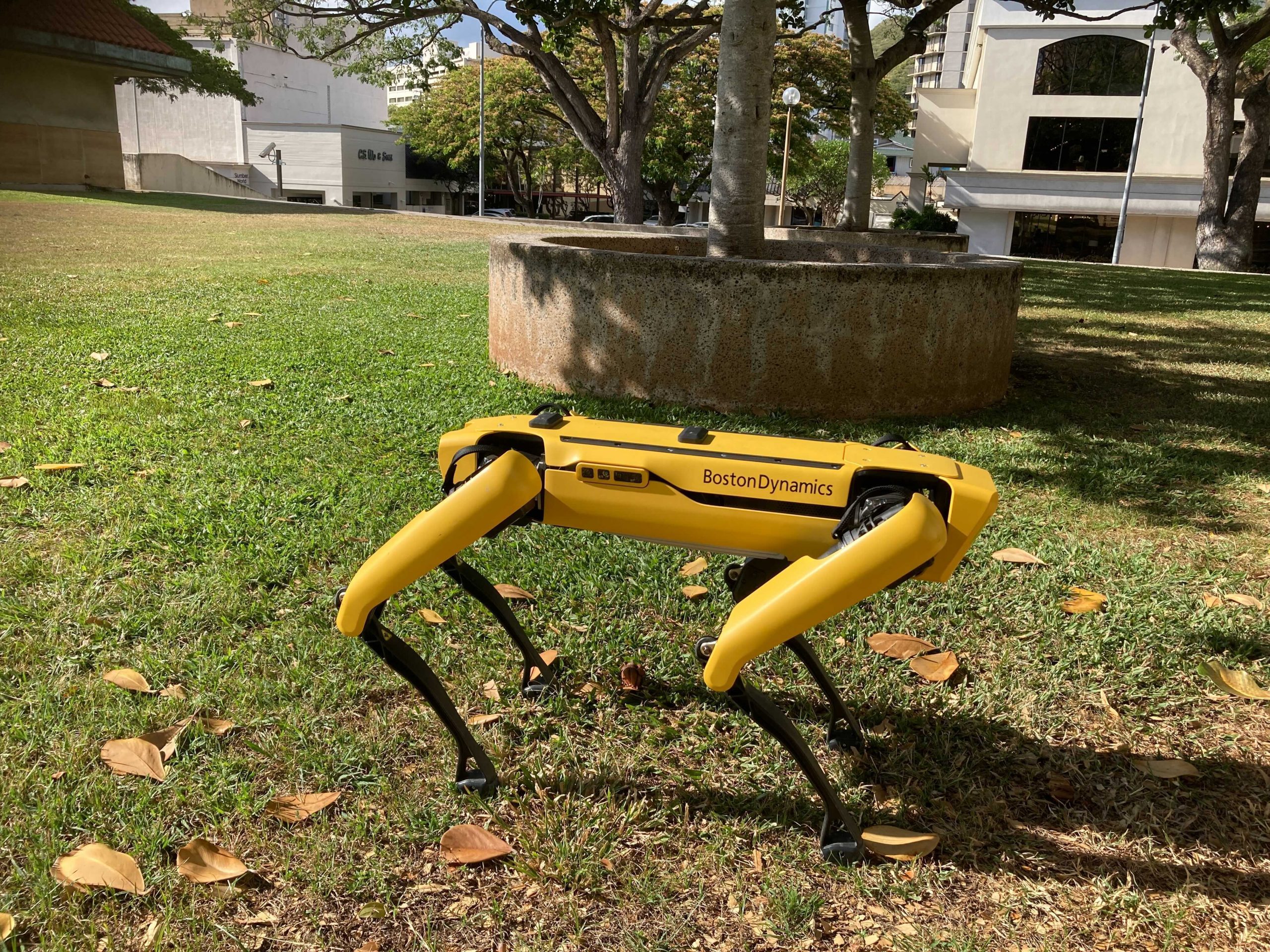 Tactical tech: NYPD adds robots to its police force