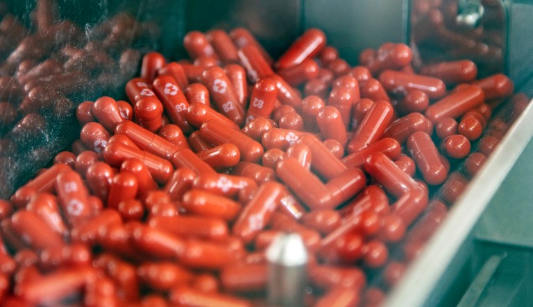 This undated image provided by Merck & Co. shows their new antiviral medication. Pharmaceutical company Merck & Co. said Friday, Oct. 1, 2021, that its experimental COVID-19 pill reduced hospitalizations and deaths by half in people recently infected with the coronavirus and that it would soon ask health officials in the U.S. and around the world to authorize its use.